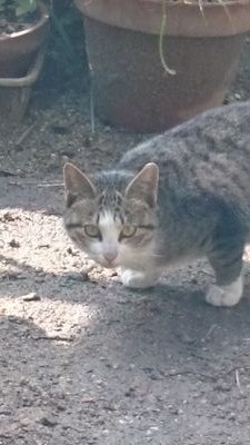 まりん(=^・^=)