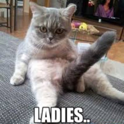 cjkelly0's profile picture. Cj683 add my snapchat❤️