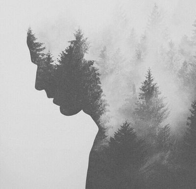 eddingverde's profile picture. 