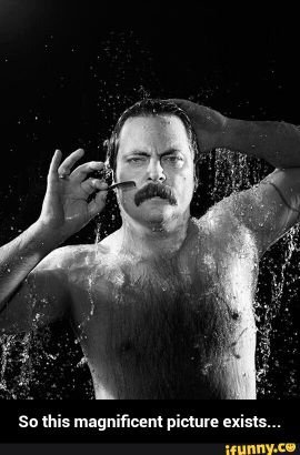 801TrueStory's profile picture. complaints welcome