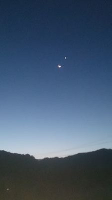 tokumie5296's profile picture. 