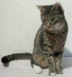 Tierisches von Sheika und Max