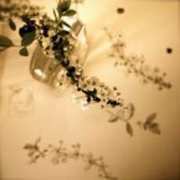 botaniko (@botanikopress) 's Twitter Profile Photo botaniko (@botanikopress) 's Twitter Profile Photo