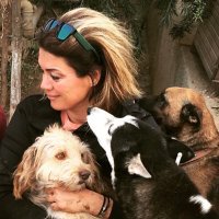 deniztenis (@deniztenis) 's Twitter Profile Photo