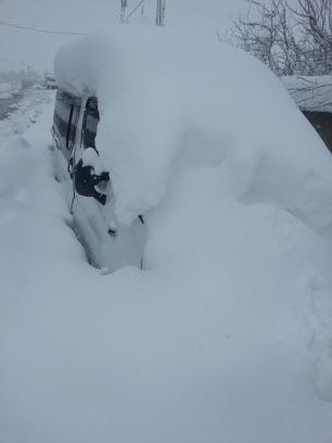 IsmailT71363614's profile picture. 