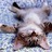 myrim8's profile image