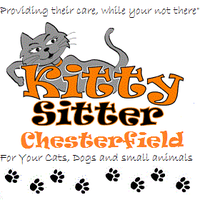 Kitty Sitter (@kittysitter2015) 's Twitter Profile