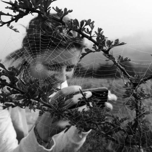 katedavis1706's profile picture. Cyclist, runner, swimmer and ever curious explorer. Work for the Ramblers (views my own)