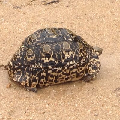 jenmdutoit's profile picture. 