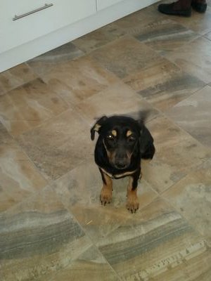 mmelibobby7's profile picture. 