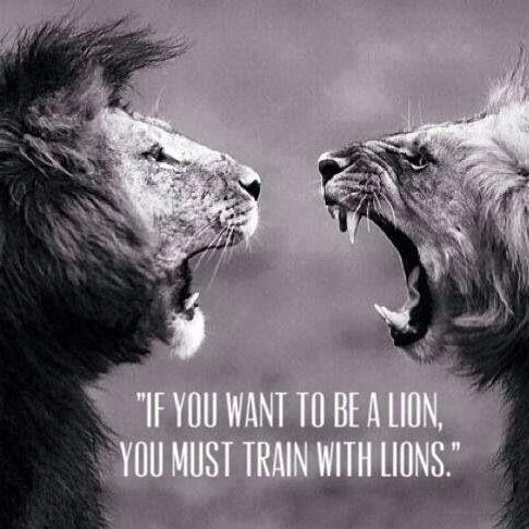 faarih911's profile picture. 