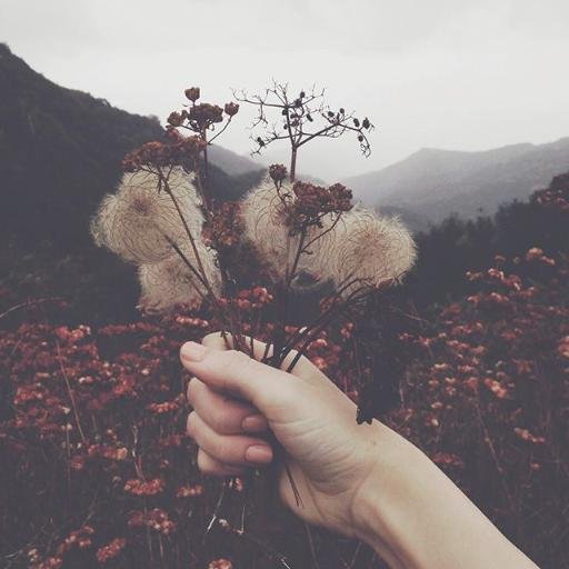 twighorn's profile picture.