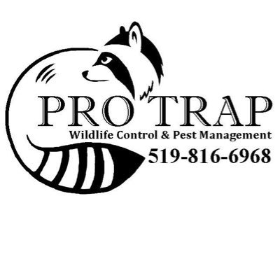 We specialize in animal removal and pest control for both residential and commercial customers. We are fully licensed and insured. Windsor / Chatham / Sarnia
