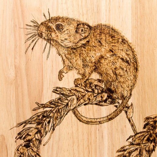 jbpyrography's profile picture. Wooden boards with individual designs applied using pyrography by Jan Brocklehurst. Available at The Makers, 17 Dig Street, Ashbourne, Derbyshire  DE6 1GF