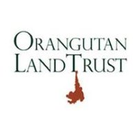 Orangutan Land Trust🦧(@orangulandtrust) 's Twitter Profile Photo