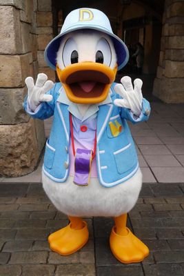 新しくしました。フォローお願いします。月2回くらいで、ディズニー。ドナオタ。年パス歴4年。一眼レフ(キャノン)。