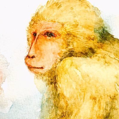 ももこはアカウント移動さんのプロフィール画像