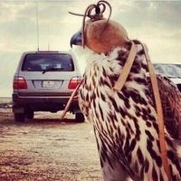 عبدالله الغيث (@sbr9143) 's Twitter Profile