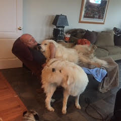 momvalko6's profile picture. 