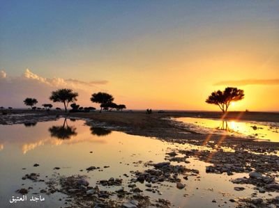 saiid3332288's profile picture. 