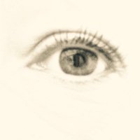 ASViennot (@as_viennot) 's Twitter Profile