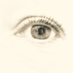 ASViennot (@as_viennot) Twitter profile photo ASViennot (@as_viennot) Twitter profile photo