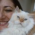 Gamze Yaşar Sorhan (@gamzoli) Twitter profile photo Gamze Yaşar Sorhan (@gamzoli) Twitter profile photo