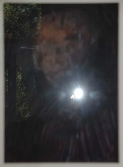 smelleken's profile picture. artist, naturalist, cyclist