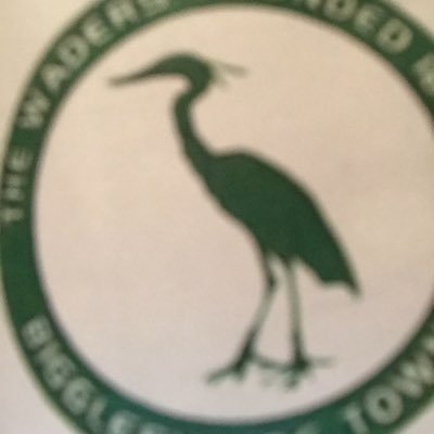 iancrowe1966's profile picture. COME ON YOU HATTERS