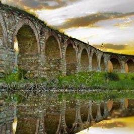 tockatocka13's profile picture. 