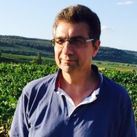 Guy Collins - @GuyCollinsWine Twitter Profile Photo