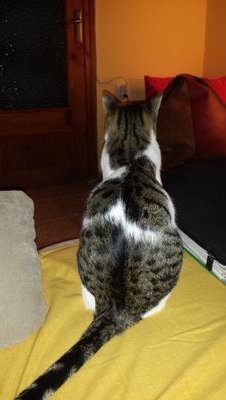 na_quilez's profile picture. 