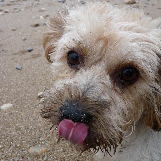 NoemieBloyet's profile picture. 