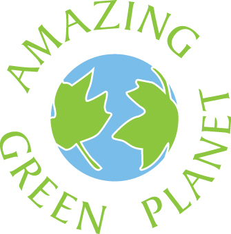 AmazingGrPlanet's profile picture. Opened in October 2008 as Louisville's First Green Store