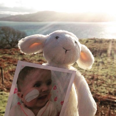 The irreverent musings and baanter from an intrepid little lamb called Alan. Representing #TeamEvie on t'Webs. https://t.co/2rhW5eifw0