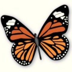 McCannsMonarchs's profile picture. 1st Grade Class in TN