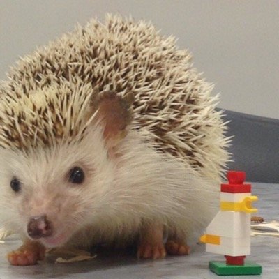 MSNImpossibots's profile picture. FLL Team