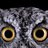 BartomeuFont's profile image