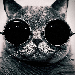 GatoBonitoBH5's profile picture. Amo BH ,Goias ,Atletico Mineiro,Corinthias,Natureza e animais domésticos não necessariamente neste ordem