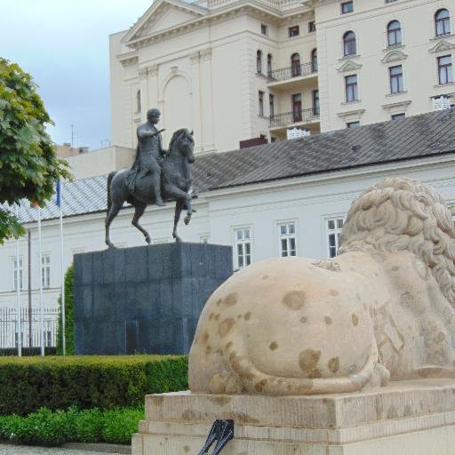 Wolność wyboru ✌️to podstawa funkcjonowania.