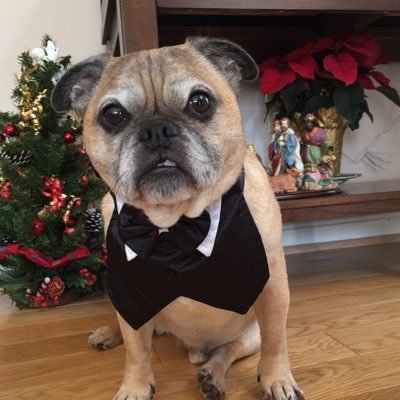 stevemass315's profile picture. 