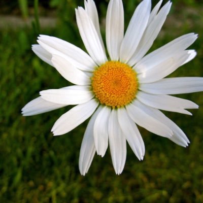 emster_0's profile picture. 