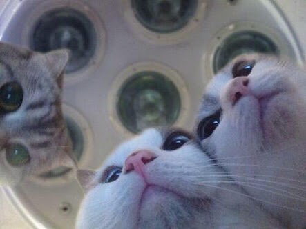 m9o_o9m's profile picture. ねこ好き過ぎて困る。サッカー野球大好き。ニコニコ動画も結構見ます。好きなサッカー選手はロシツキ。W杯でのミドルが忘れられない。カメラ持って旅行もいいね。プログラミングとても興味あります。