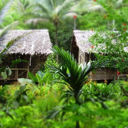 A tropical getaway, nestled against mountains and adorned by the tranquil Dawadawa https://t.co/y7IV9mRJyL now! badilaunalodge@gmail.com or +675 71717101