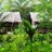 badilaunalodge's profile image