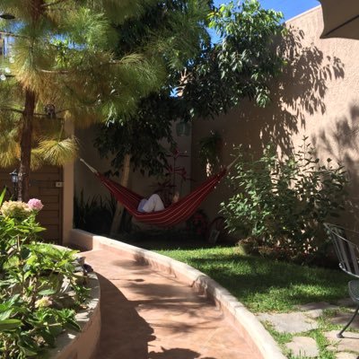 JosEstrada2's profile picture. 