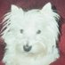 Wanda M (@myfolly) Twitter profile photo