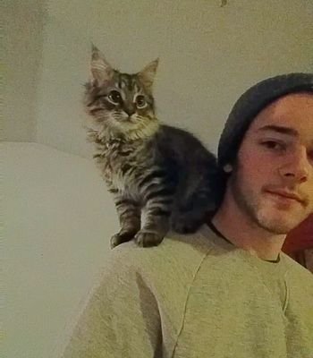 KaufenbergPeter's profile picture. 