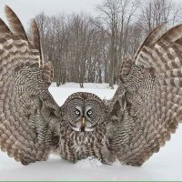 bruce mccormick (@bpjmccormick) 's Twitter Profile