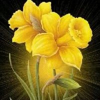 kapil pincha (💙,🧡) (@kapil_pincha) 's Twitter Profile